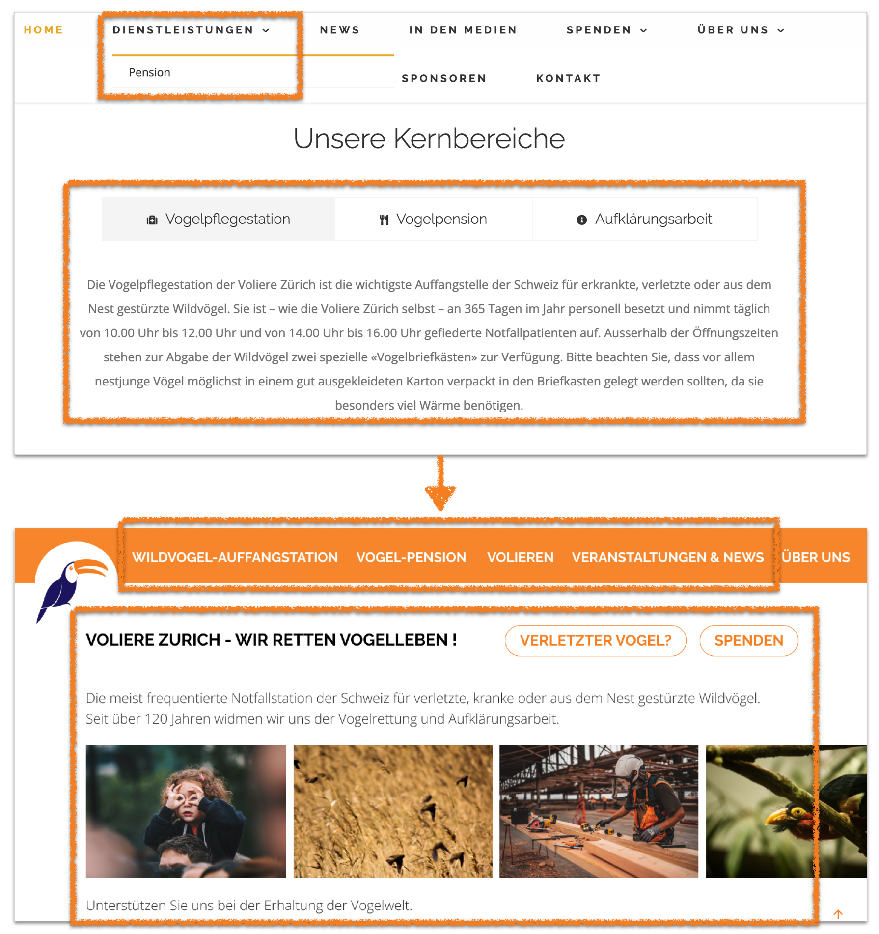Key work of Voliere was placed to stand out within homepage